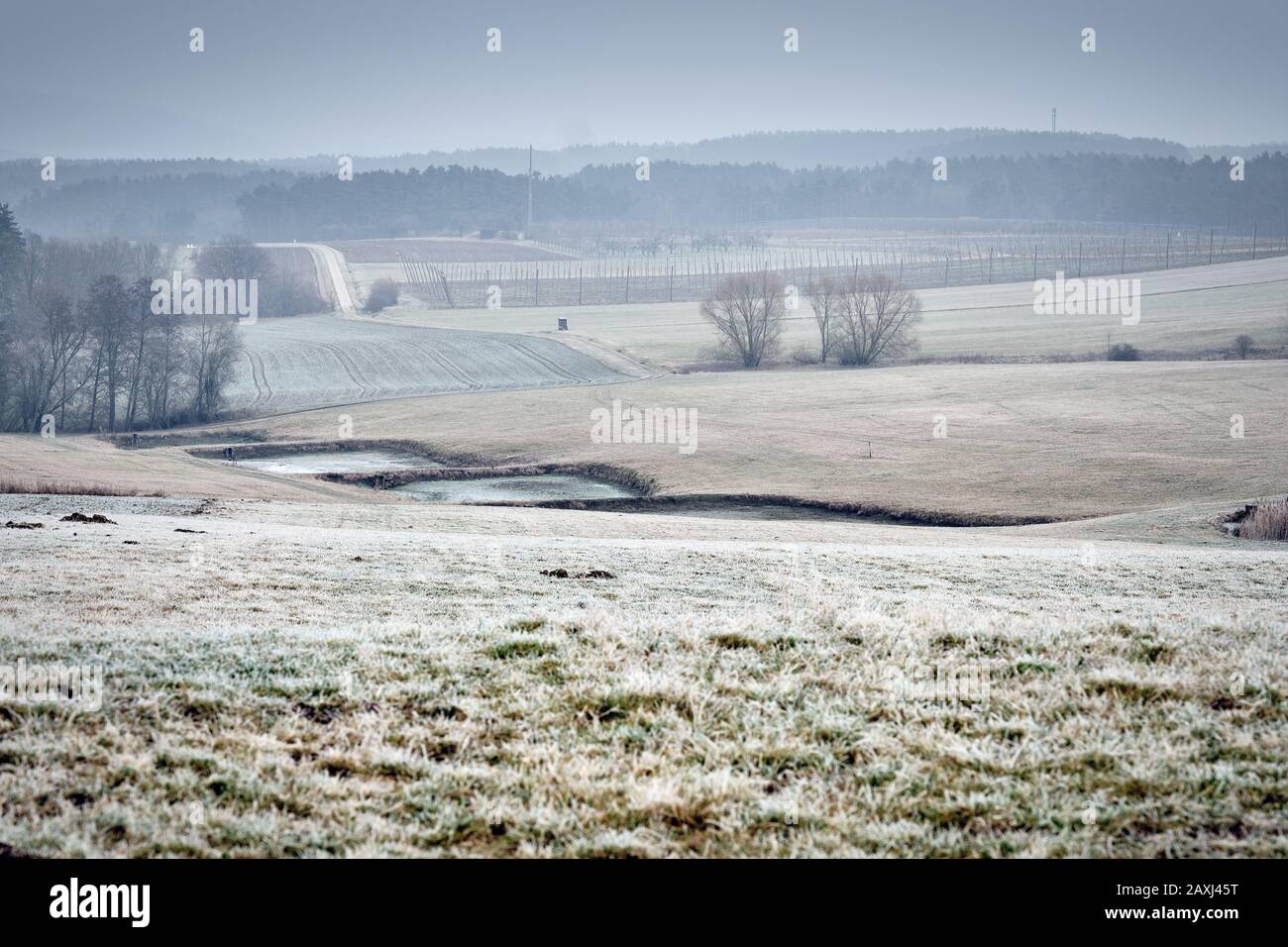 Moody cold countryside winter landscape on a day with dense grey high fog. Seen near Bullach in Franconia / Bararia, Germany in January. Stock Photo