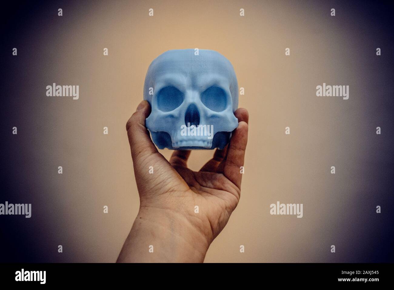 Skull printed on 3d printer in man's hand. Progressive modern additive technology Stock Photo