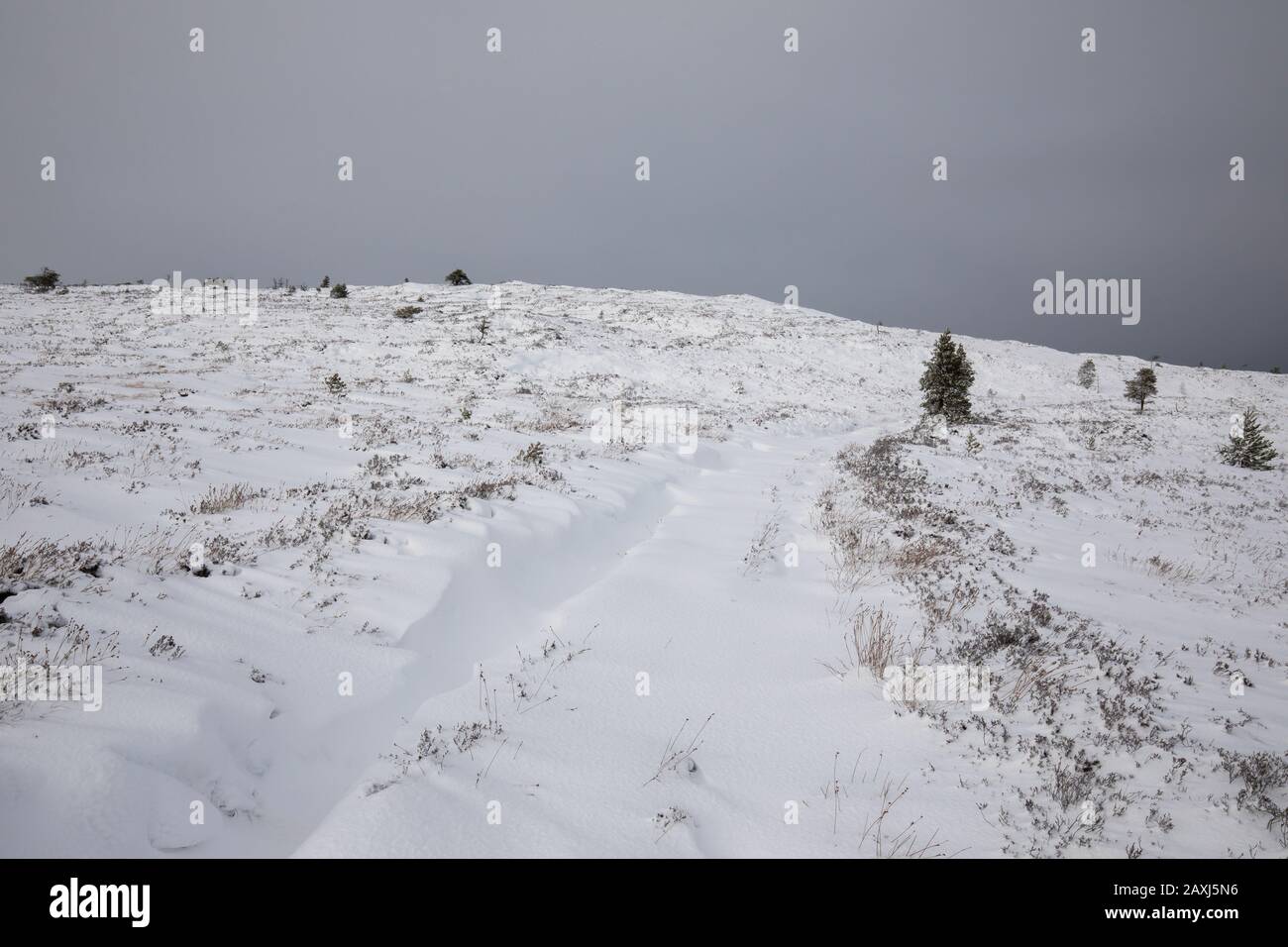 The view up to the snowy summit of Ben Aigan, a 471 metre hill between Craigellachie and Keith in Speyside, Scotland, UK Stock Photo