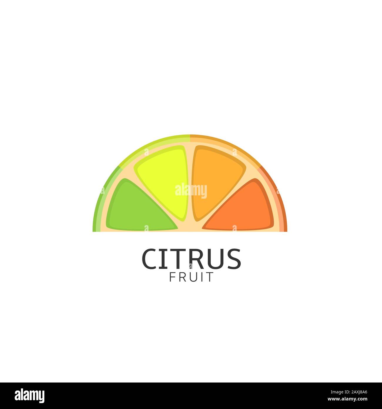 Pieces of citrus fruit Stock Vector