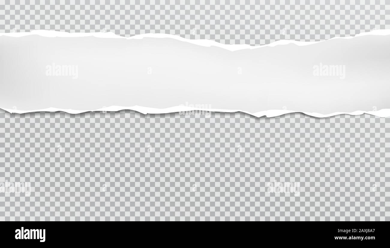 Torn, ripped piece of horizontal white paper with soft shadow is on ...