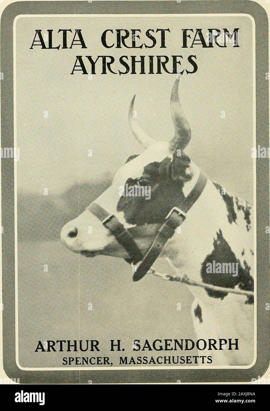 Ayrshire year book . OUNG STOCK FOR SALE Address all communications to A. B. MARBLE 131 State St. - - - - Boston, Mass. JAMES E. SAGUE CHAS. R. BRADLEY Owner Manager CLIFFDALE FARM POUGHKEEPSIE, N. Y. REGISTERED AYRSHIRE CATTLE EXCLUSIVELY Attention is called to the following 1.—Herd now consisting of about 75 head is free fromtuberculosis, and will be maintained so by careful and syste-matic testing. 2.^Barns new, and of the most modern sanitary construc-tion, 3.—Herd headed by RYANOGUE INNELLAN, the son oftwo Grand Champions at the National Dairy Show, Chicago;Hobsand Innellan, Imp., and Old Stock Photo