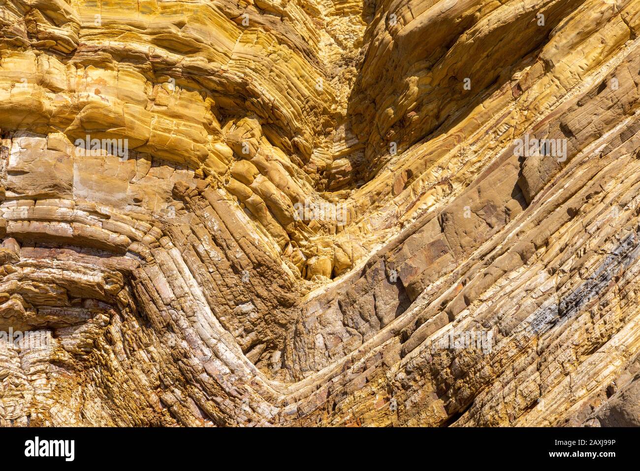 Strata of sandstone sedimentary rock coastal cliff layers folded geological syncline structure