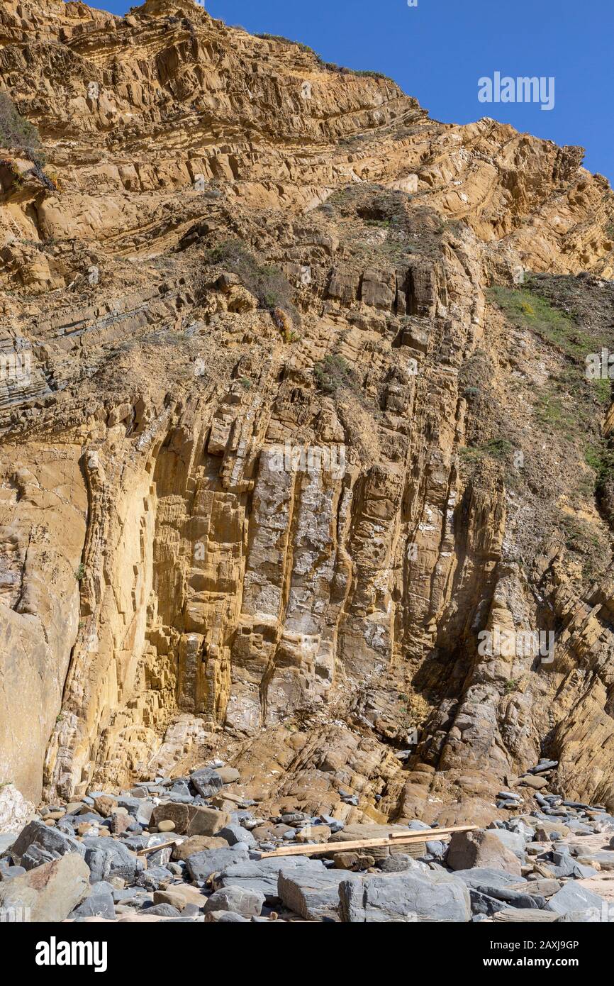 Strata of sandstone sedimentary rock  coastal cliff layers folded geological syncline structure, Zambujeiro do Mar, Alentejo Littoral, Portugal Stock Photo