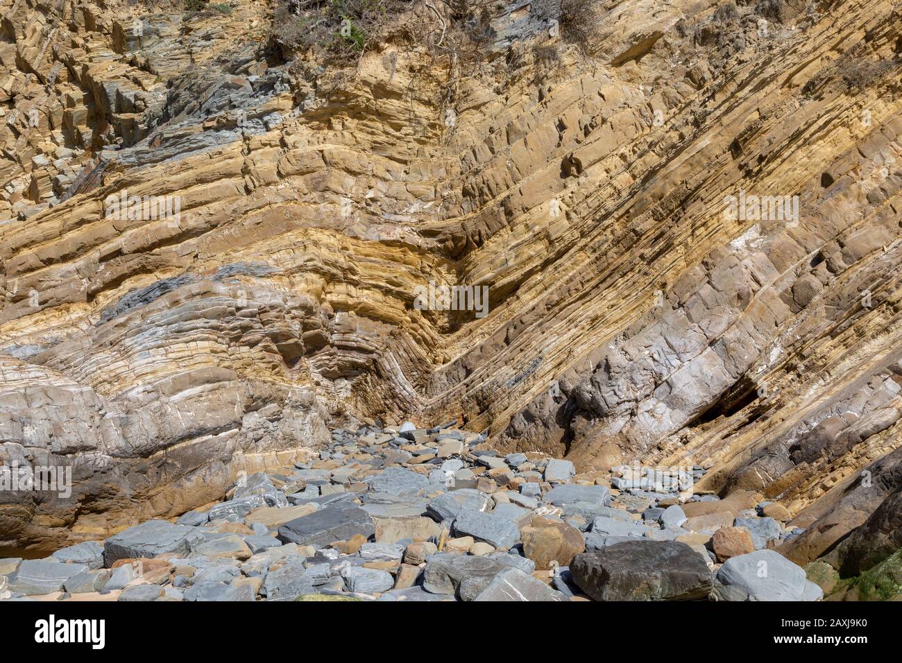 Strata of sandstone sedimentary rock coastal cliff layers folded geological syncline structure