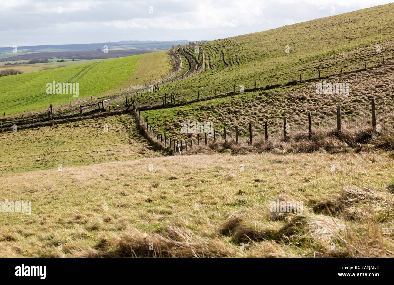 Undulating countryside upland chalk landscape in winter downland area of North Wessex Downs, near Cherhill, Wiltshire, England, UK Stock Photo