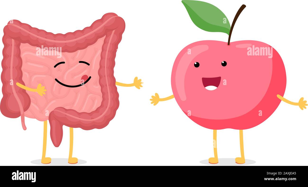 Digestive System Cartoon High Resolution Stock Photography and Images