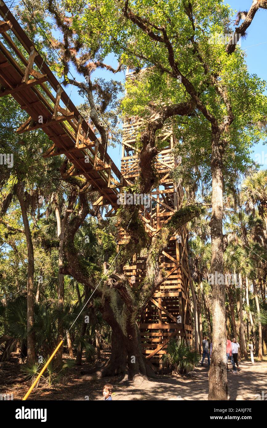 Tower, bridge, and Bird watching walkway boardwalk in Myakka State Park in Sarasota, Florida