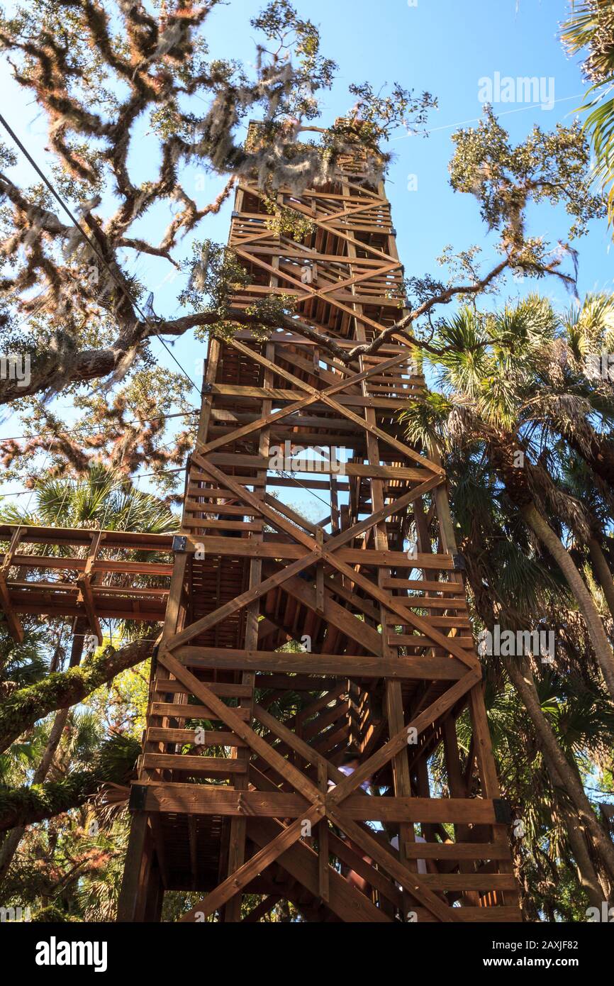 Tower, bridge, and Bird watching walkway boardwalk in Myakka State Park in Sarasota, Florida