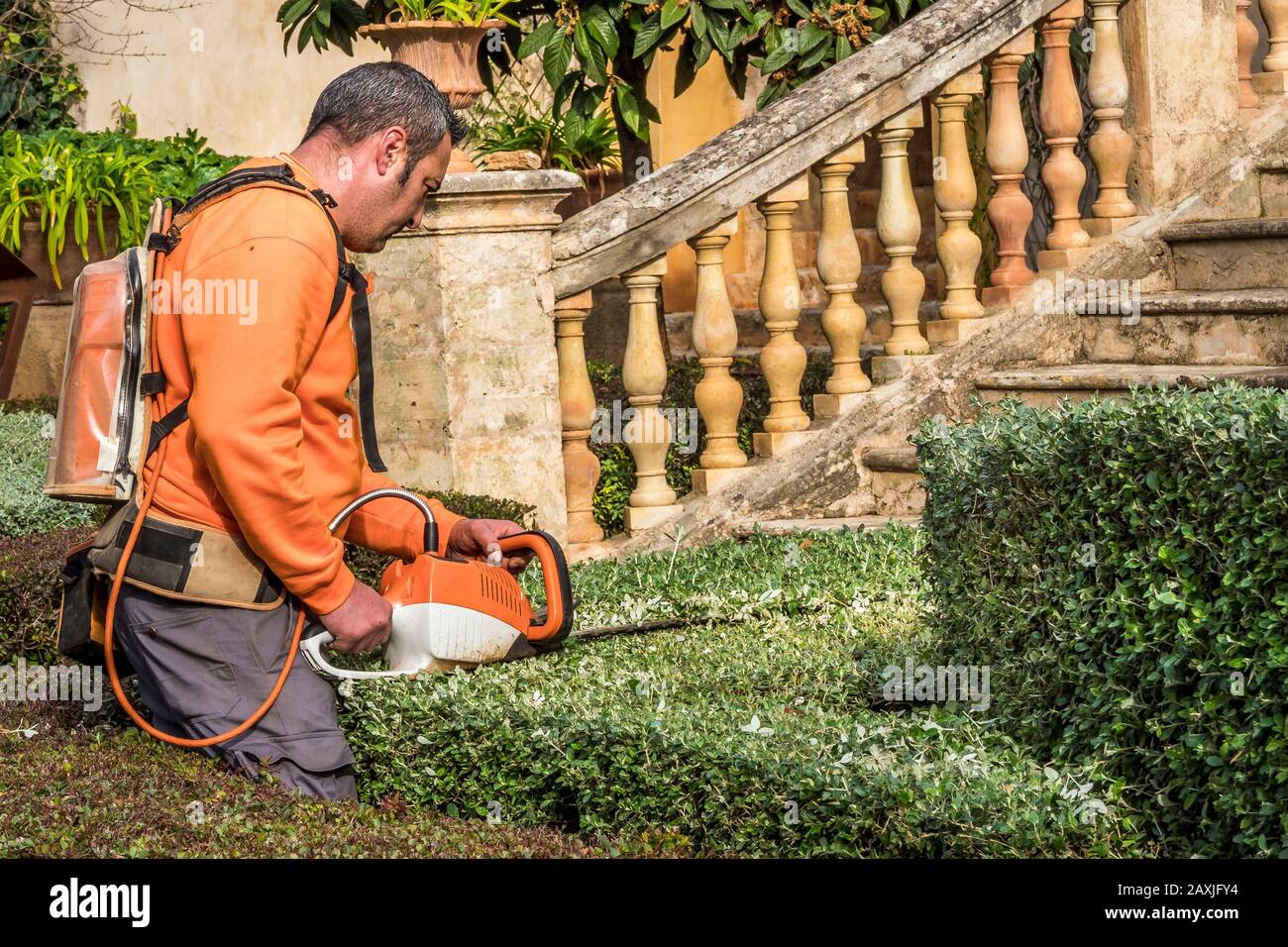 gardener working in the garden Mallorca, Spain January, 15, 2020 Stock Photo