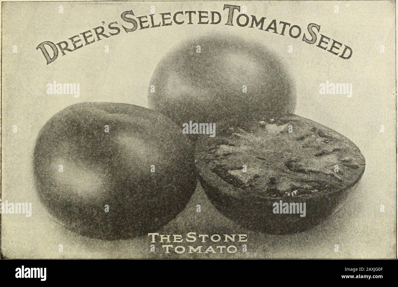 Tomate D High Resolution Stock Photography And Images Alamy