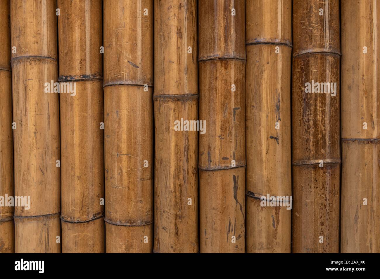 Natural Bamboo Pattern Stock Photo