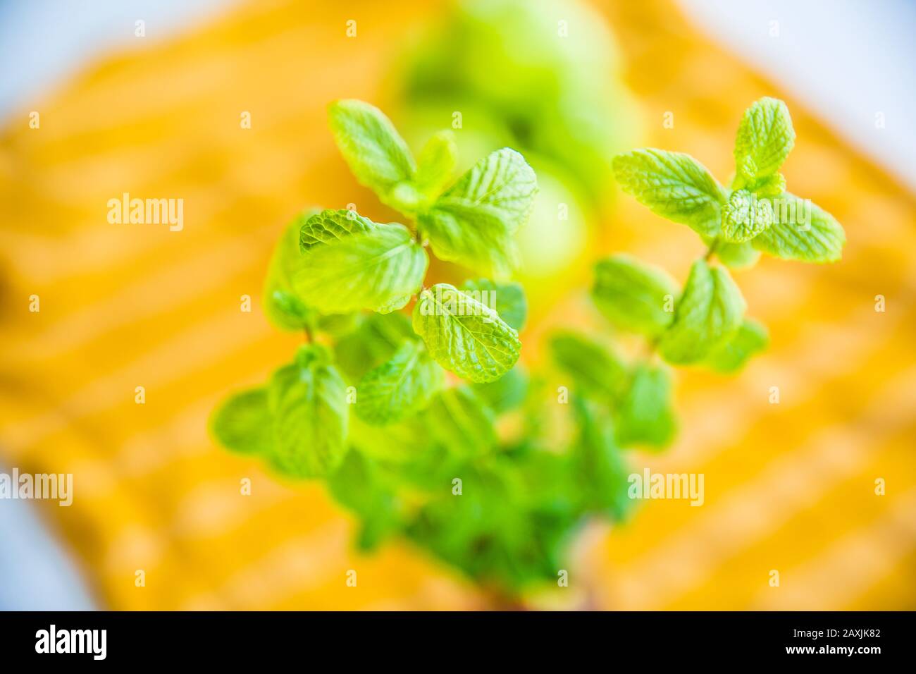 Mint house hires stock photography and images Alamy