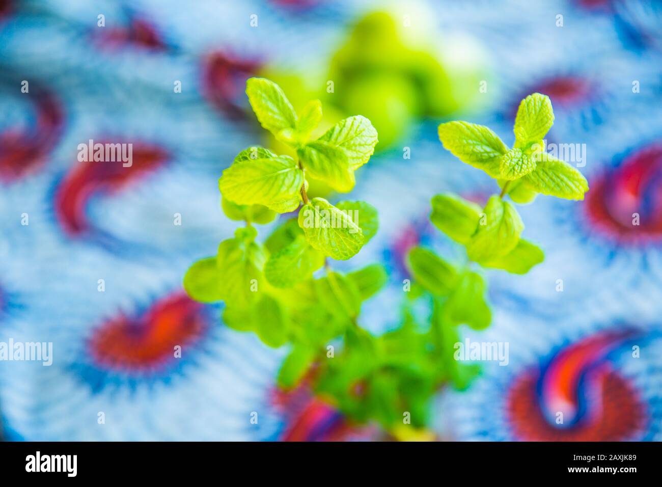 Mint house hires stock photography and images Alamy