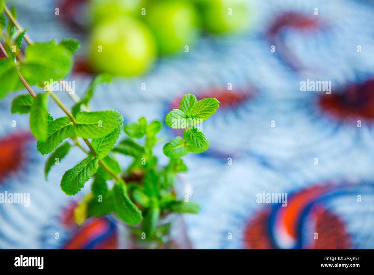 Mint house hires stock photography and images Alamy