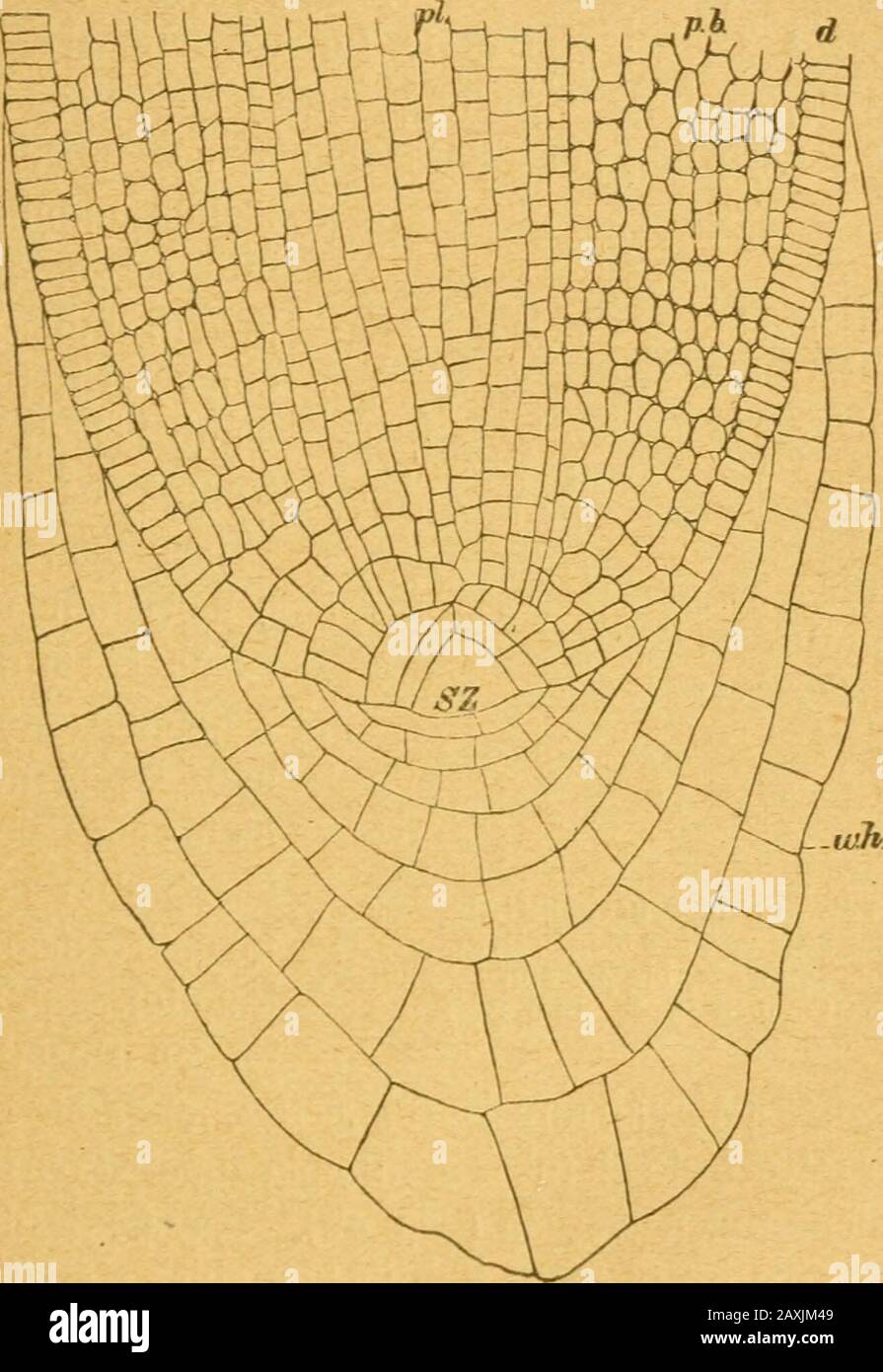 Page 8 Ha Z High Resolution Stock Photography And Images Alamy