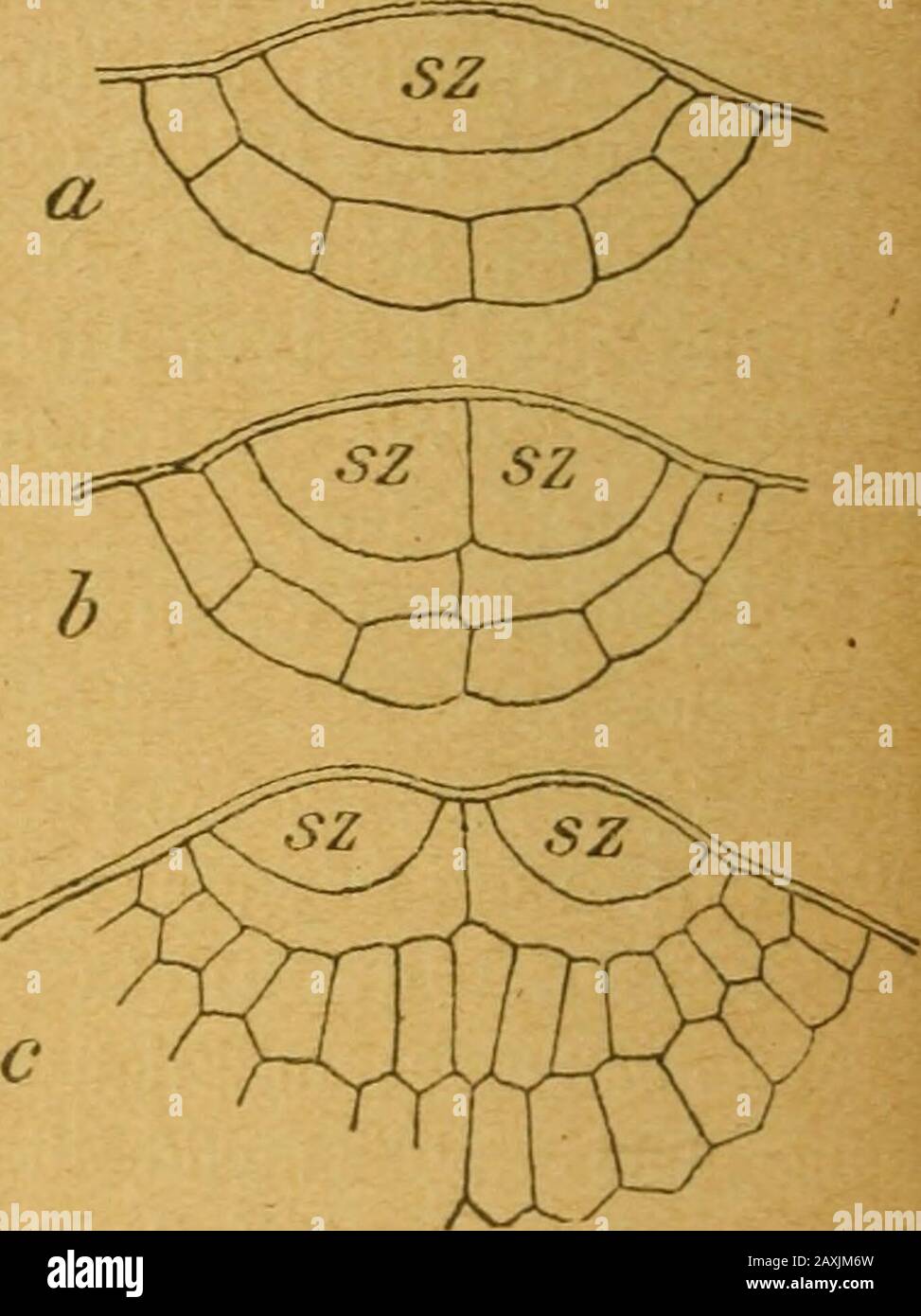 F 47 bl ha hi-res stock photography and images - Alamy