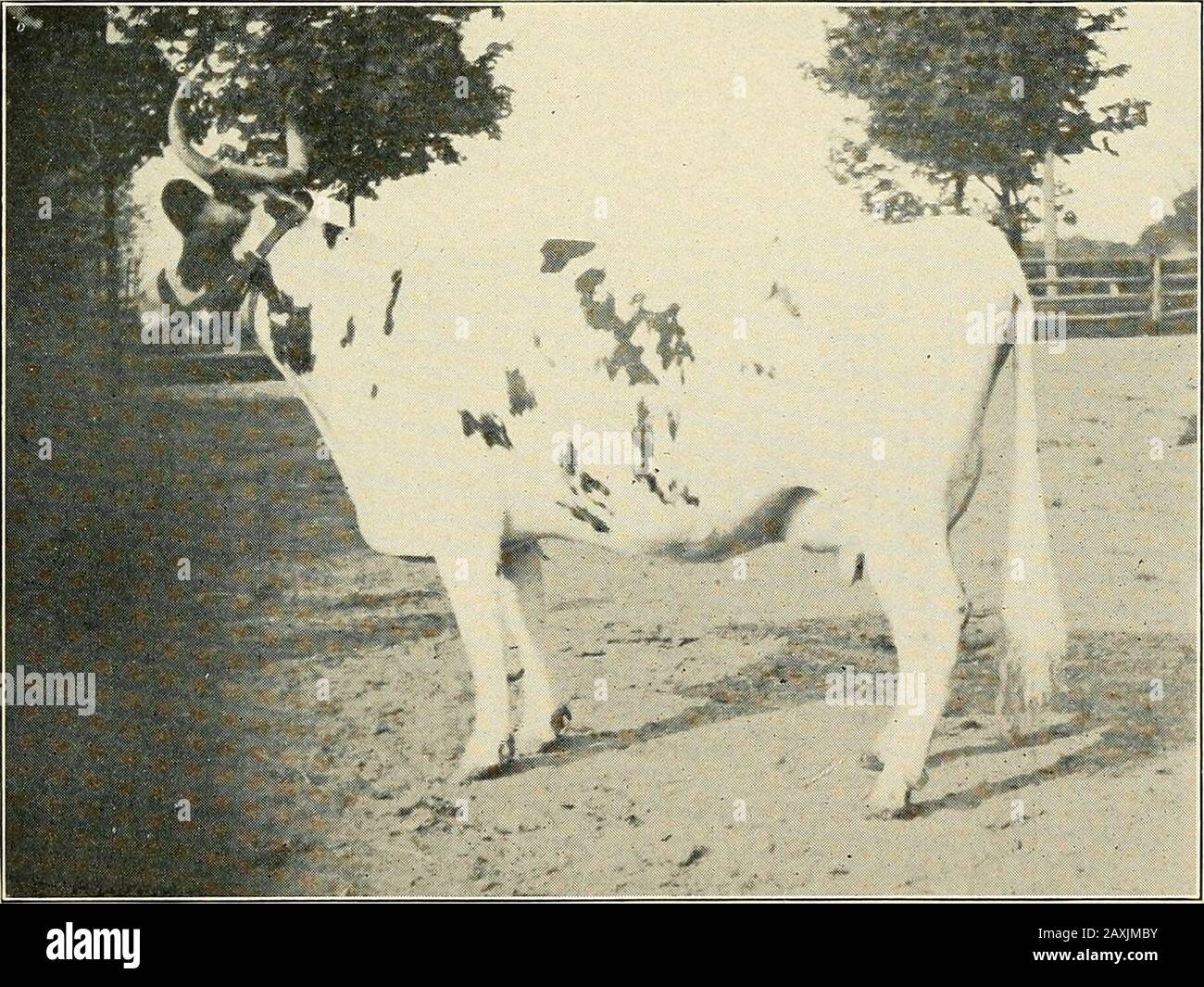 6 131 High Resolution Stock Photography And Images Page 4 Alamy