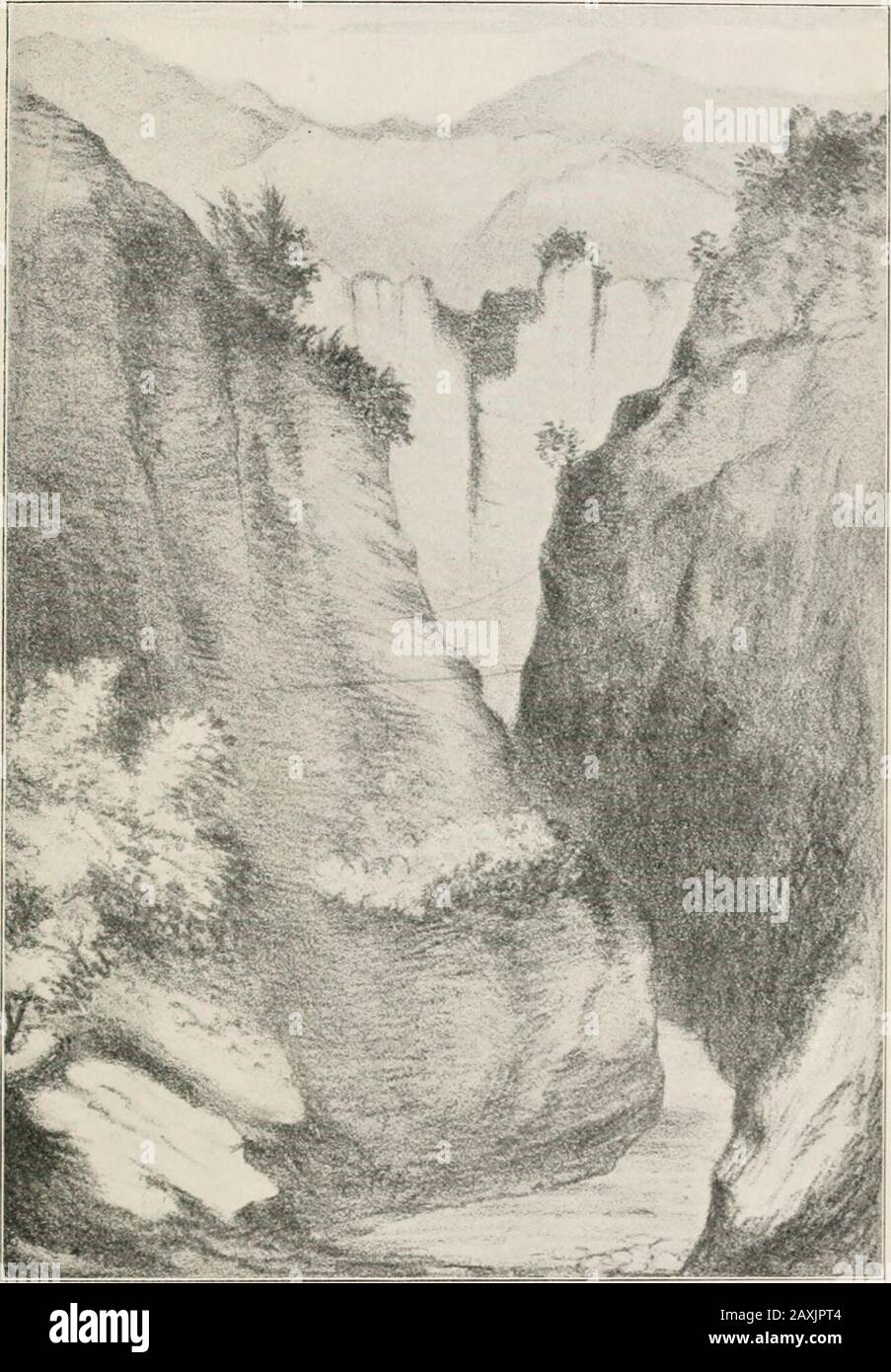 Schlich's Manual of forestry . heep and goatsthe natural growth disappeared, while the tread of thebeasts loosened the soil. The annual monsoon rains, thoughnot heavy, soon commenced a process of erosion and of carry-ing away the surface soil. Gradually, small and then largeravines and torrents were formed which have torn the hillrange into the most fantastic shapes, while the debris hasbeen carried into the plains forming fan-shaped accumulationsof sand. These, commencing at the places where the torrentsemerge from the hills, reach for miles into the plain, andhave already covered and rendere Stock Photo