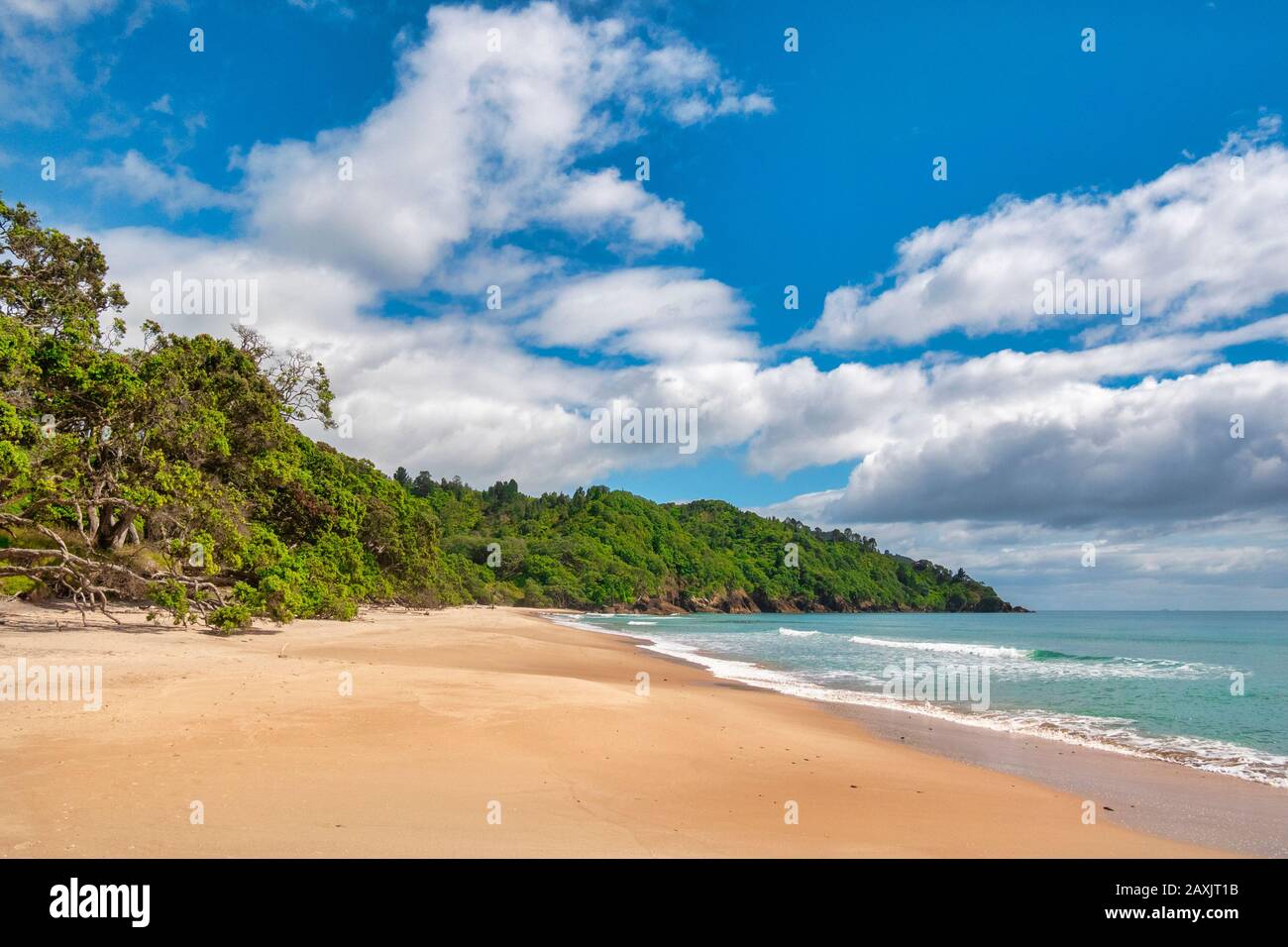 Waihi Beach, Bay of Plenty, New Zealand, a beautiful beach with no people. Stock Photo