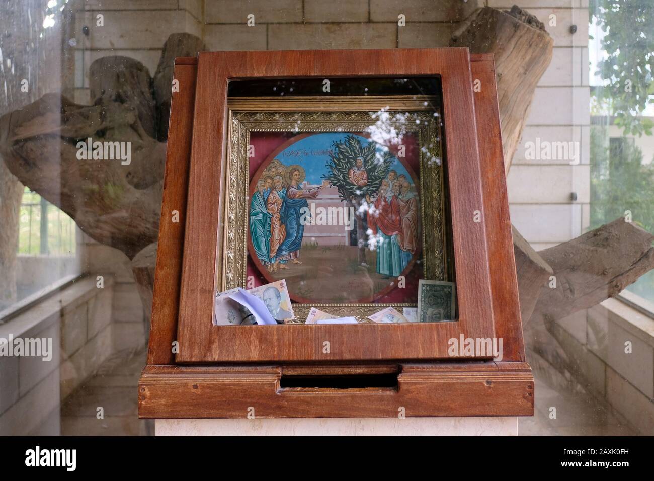 The tree of zacchaeus hi-res stock photography and images - Alamy
