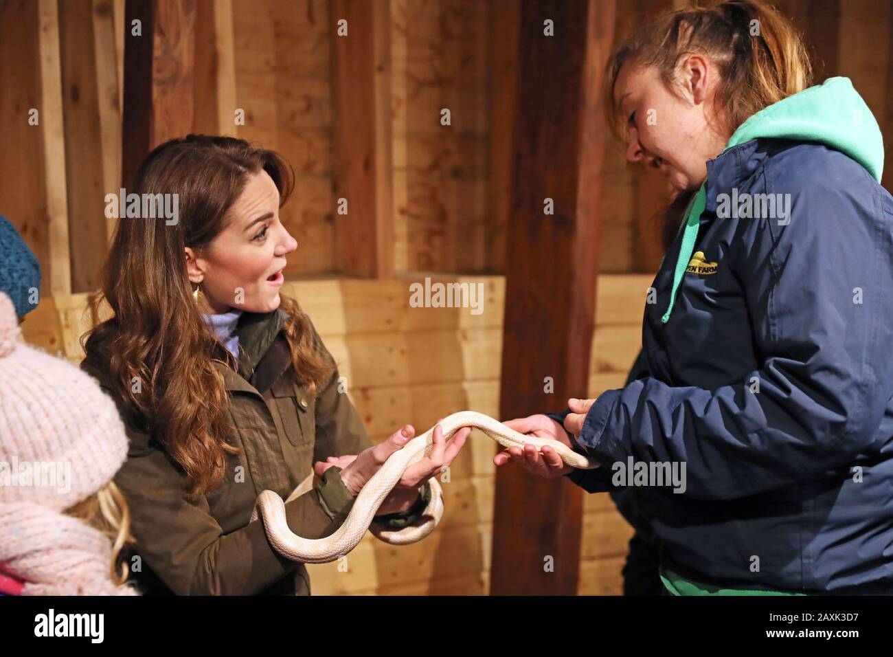 The Duchess of Cambridge handles a snake during a visit to The Ark Open Farm, at Newtownards, near Belfast, where she is meeting with parents and grandparents to discuss their experiences of raising young children for her Early Childhood survey. Stock Photo