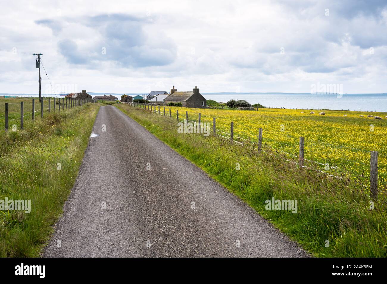 Empty back road between grassy fields, where sheep are grazing, to a small coastal village on a cloudy summer day. A tanker is visible in background. Stock Photo