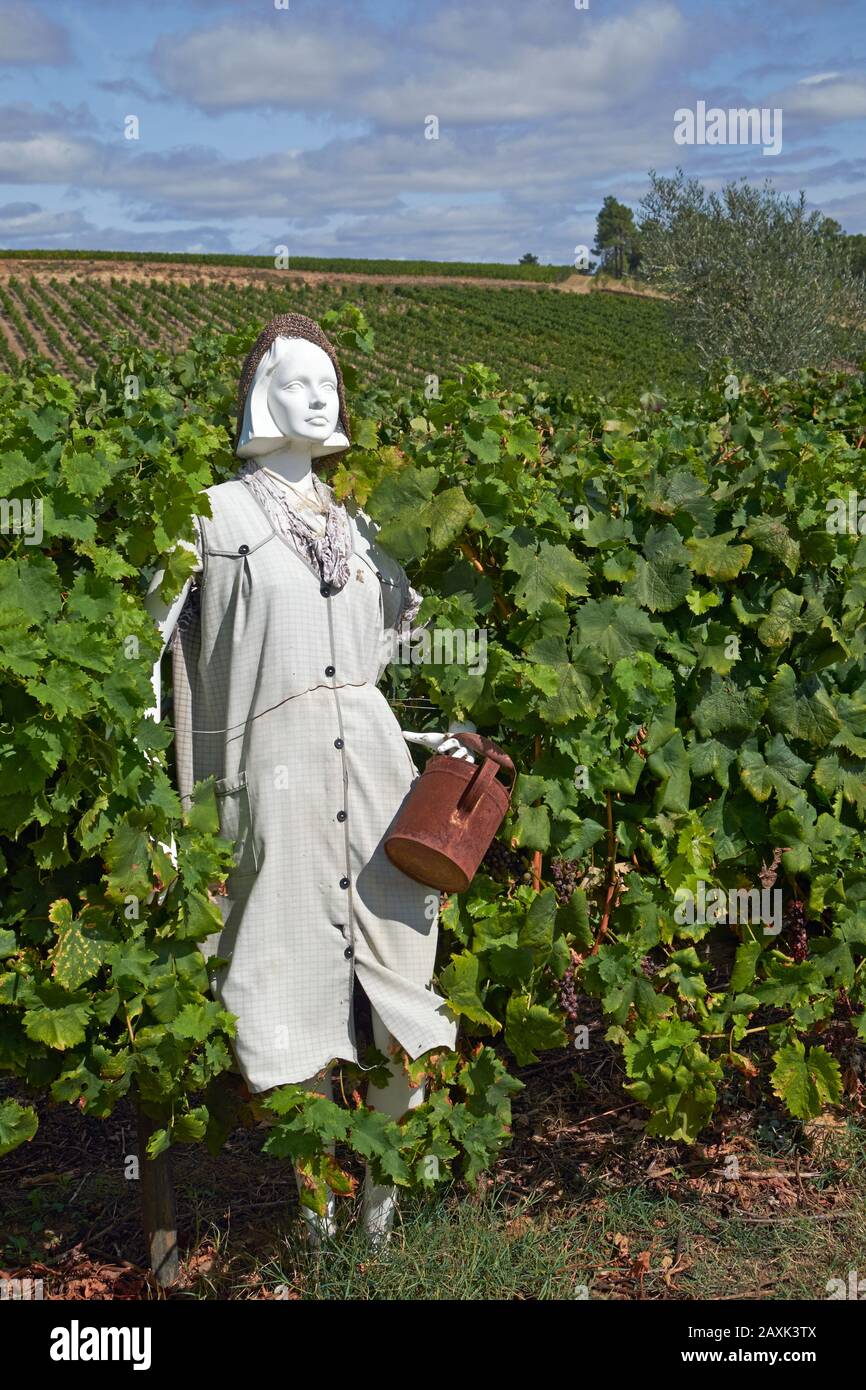 A manikin vineyard worker at Quinta da Avessada, Favaios, Douro, Portugal. Stock Photo