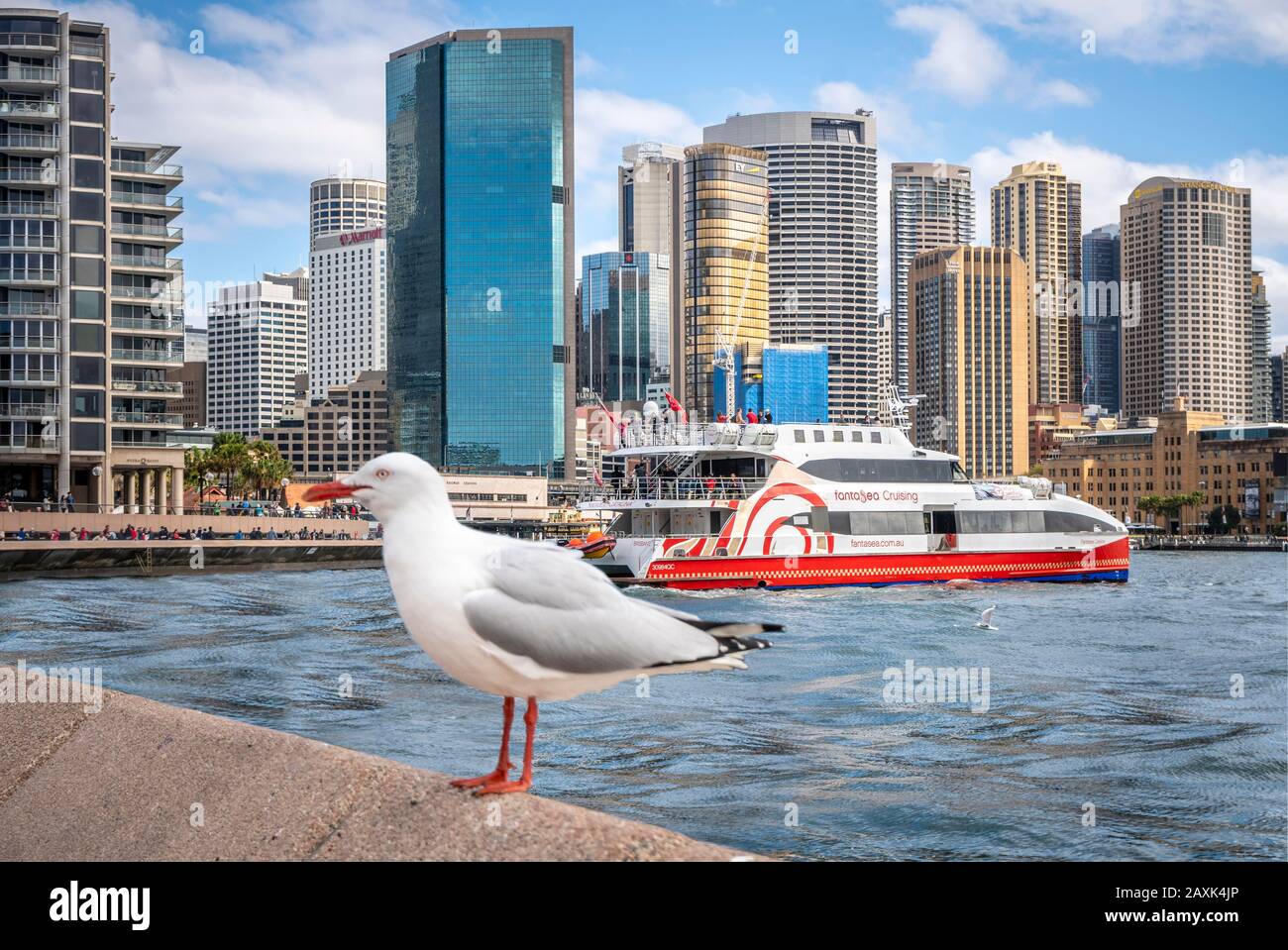 Australia Sydney Harbor Skyline Stock Photo
