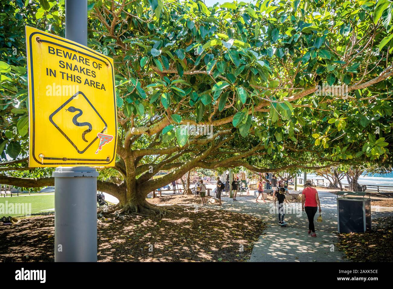 Australia, Queensland, Noosa, warning sign of snakes on the beach Stock Photo