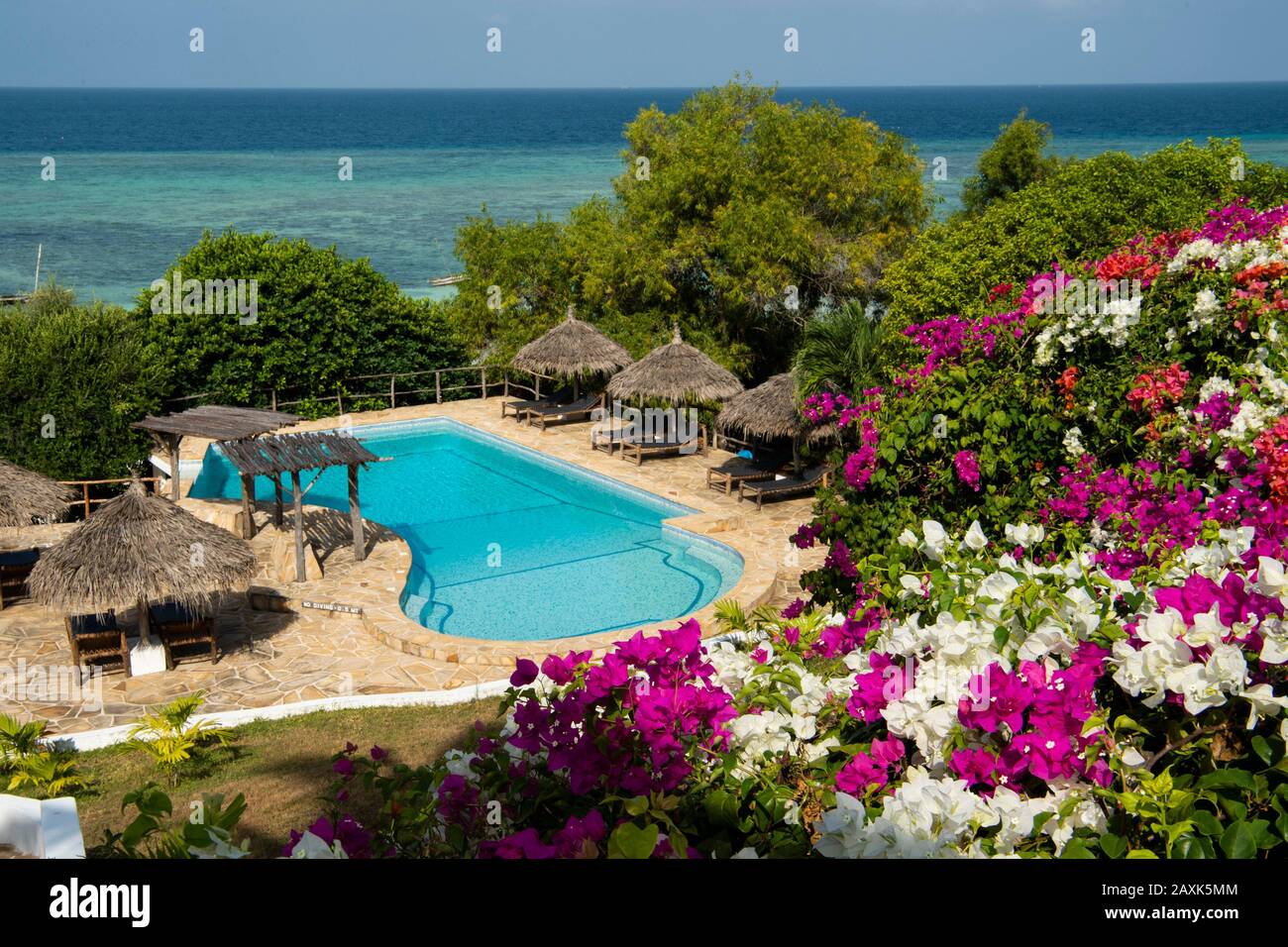 The Manta Resort, swimming pool, Pemba Island, Zanzibar Archipelago, Tanzania Stock Photo