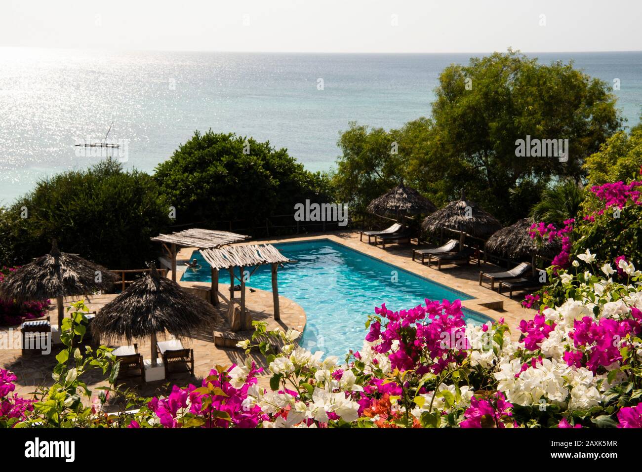 The Manta Resort, swimming pool, Pemba Island, Zanzibar Archipelago, Tanzania Stock Photo