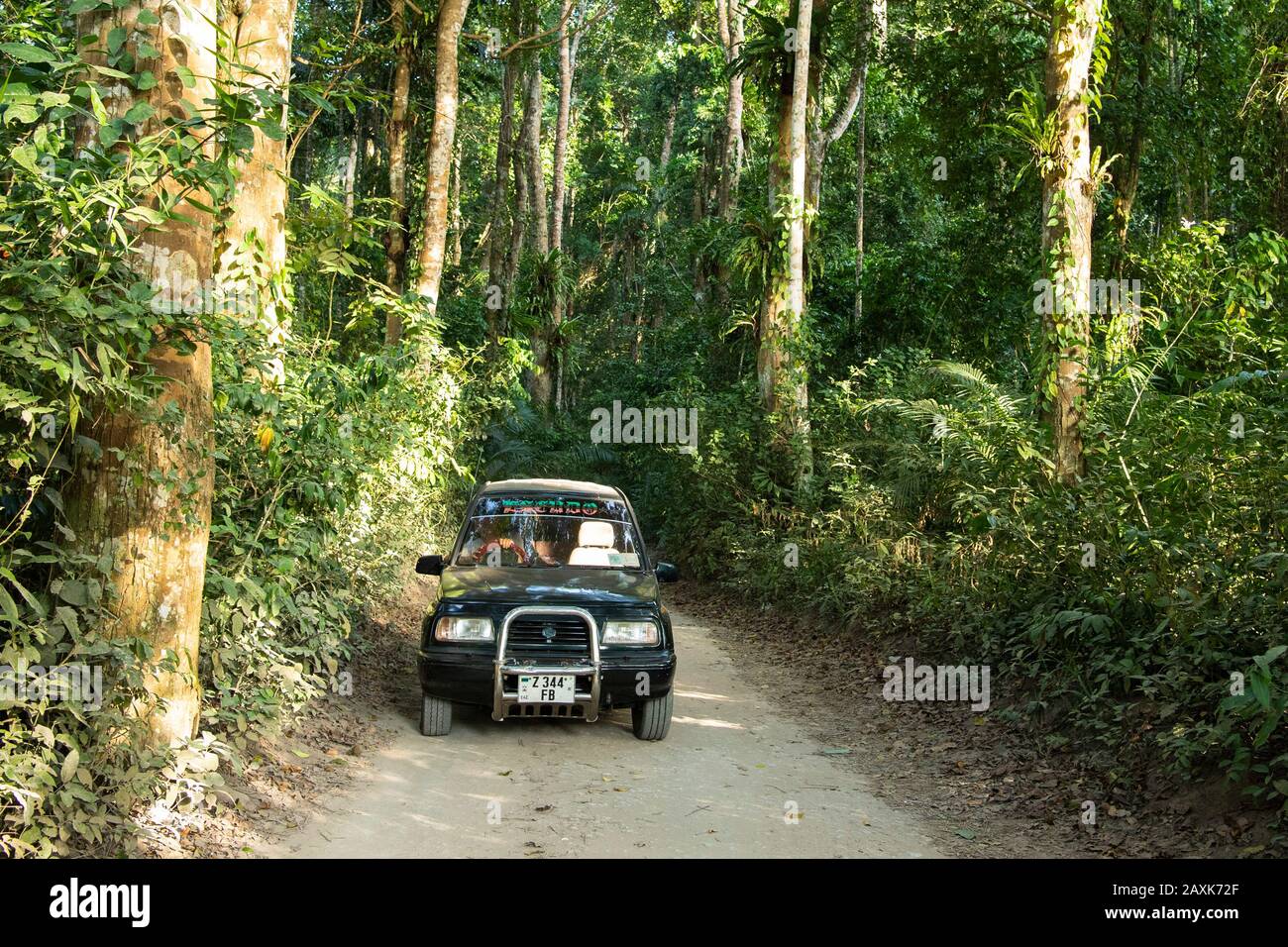 Tourist vehicle in Ngezi Forest Reserve, Pemba Island, Zanzibar Archipelago, Tanzania Stock Photo
