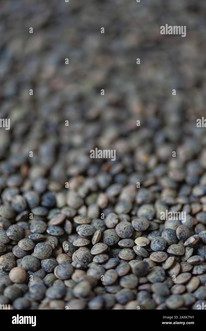 Close up of green lentils showing their green and blue patterning. Stock Photo