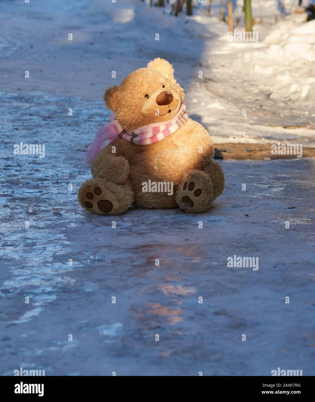big cute curly teddy bear in a scarf sitting on white snow, loneliness ...