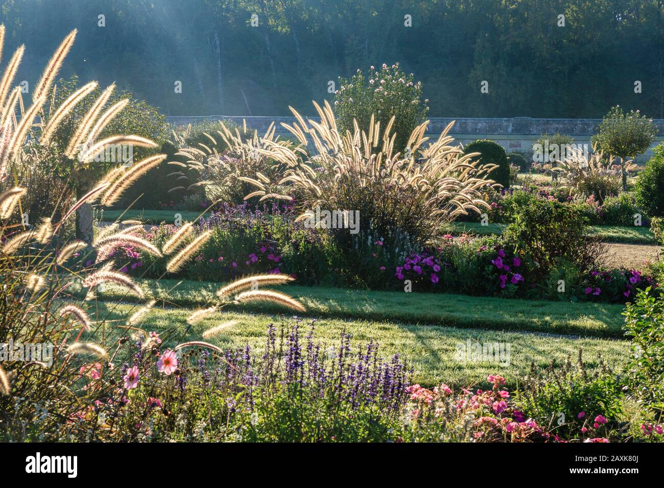 France, Indre et Loire, Loire Valley listed as World Heritage by UNESCO, Chenonceaux, Chateau de Chenonceau Park and Gardens, the Jardin de Diane de P Stock Photo
