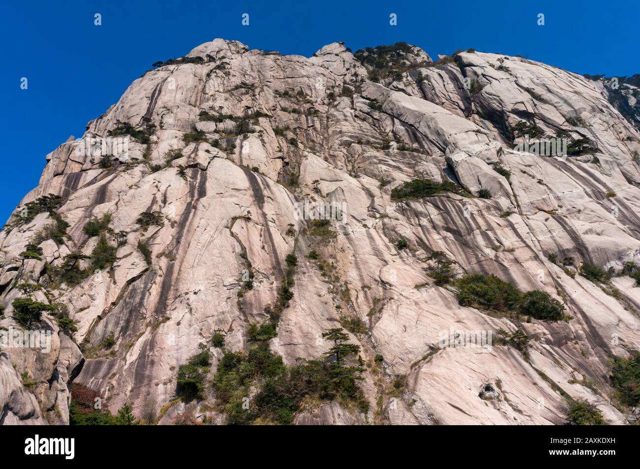 Oddly-shaped rocks on a sunny day during spring time. Landscape of the Huangshan Mountain in China Stock Photo