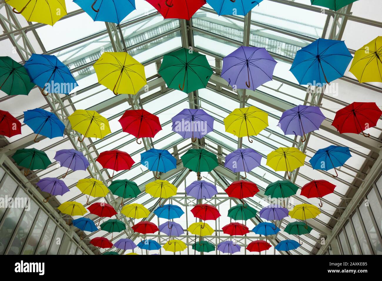 Colourful Umbrellas As Decoration In The Air With Glass Ceiling Celebration and Decoration Stock Photo