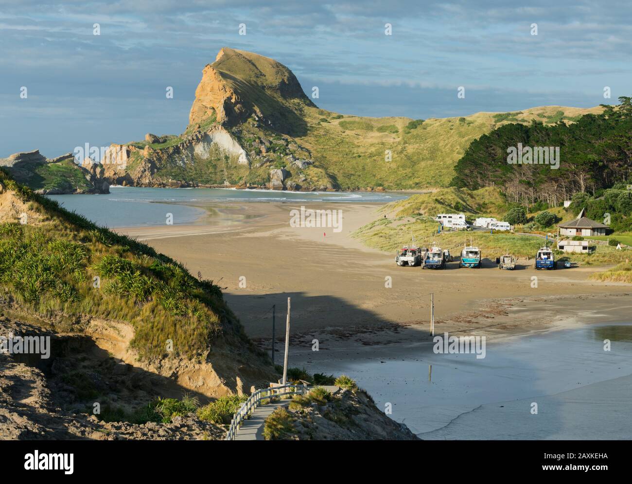 Coast at Castle Point, Wellington, North Island, New Zealand, Oceania Stock Photo