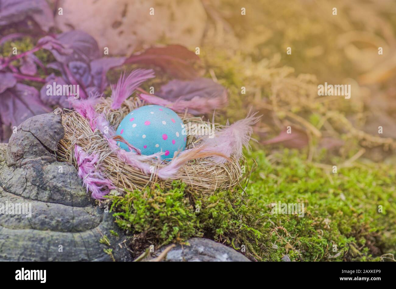 Easter background with blue eggs in nest out of doors Stock Photo - Alamy