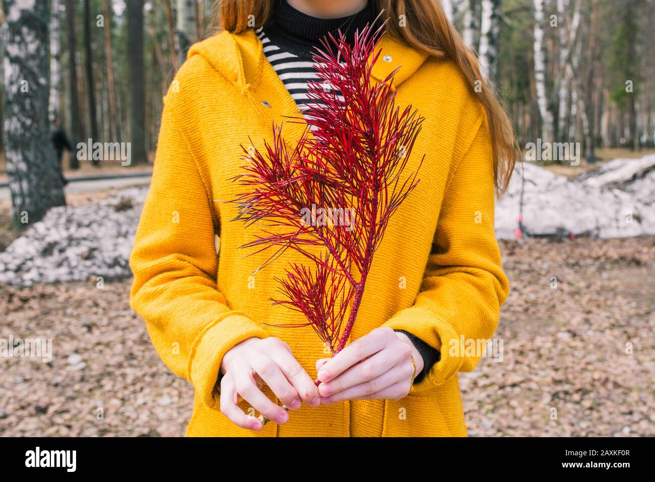 A young girl in an orange coat holds a red colored fir branch in her hands. The concept of restoration and protection of forests, ecology. Stock Photo
