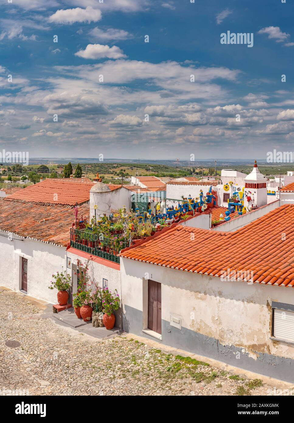 Exuberantly roof garden of a working-class house at the Rua Bráz Carrasco, Serpa,   Portugal, Stock Photo