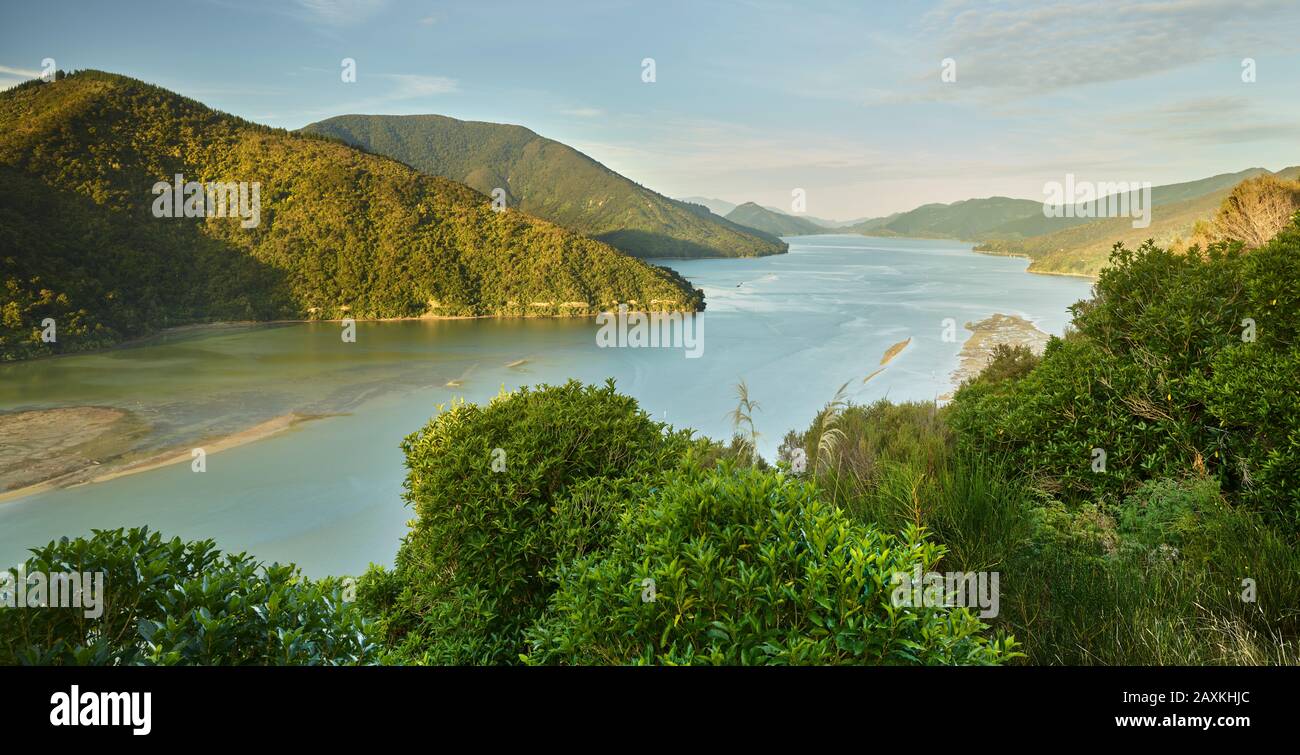 Pelorus Sound, Tasman, South Island, New Zealand, Oceania Stock Photo