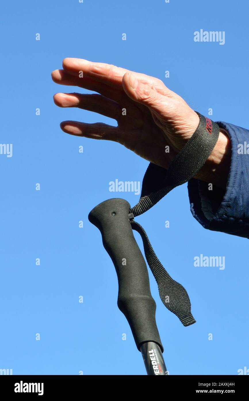 Wrist strap on trekking pole. Put your hand through the loop from underneath, and pull the
