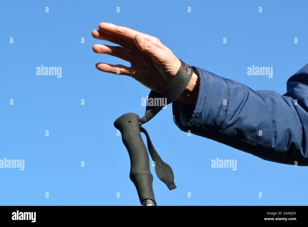 Wrist strap on trekking pole. Put your hand through the loop from