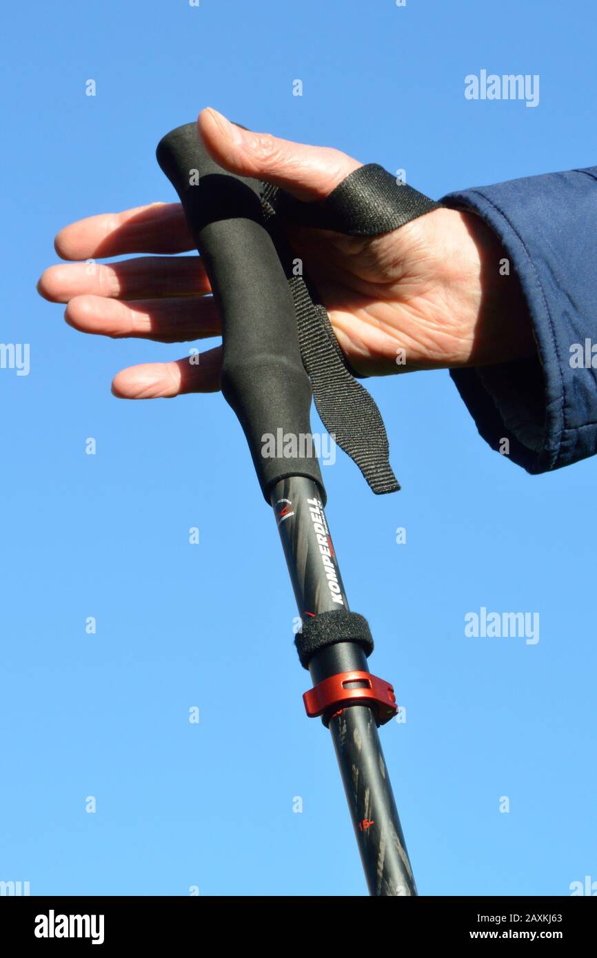 Wrist strap on trekking pole. Put your hand through the loop from