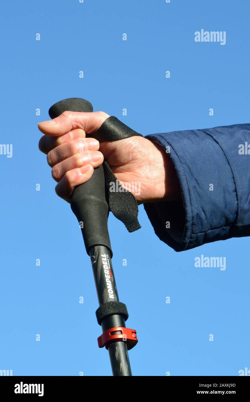 Wrist strap on trekking pole. Put your hand through the loop from