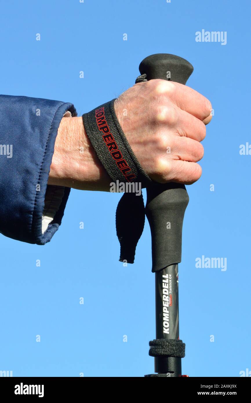 Wrist strap on trekking pole. Put your hand through the loop from