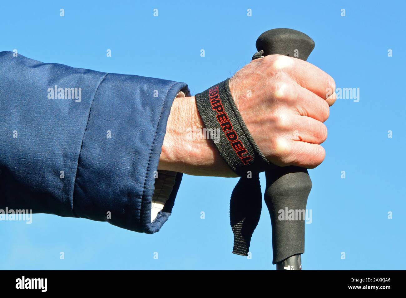 Wrist strap on trekking pole. Put your hand through the loop from