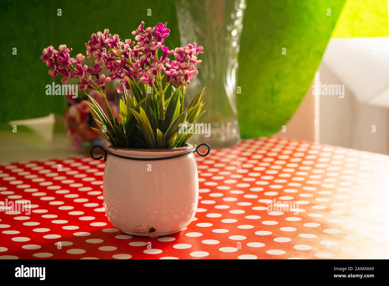 Home flowers in pot on the table in the morning Stock Photo